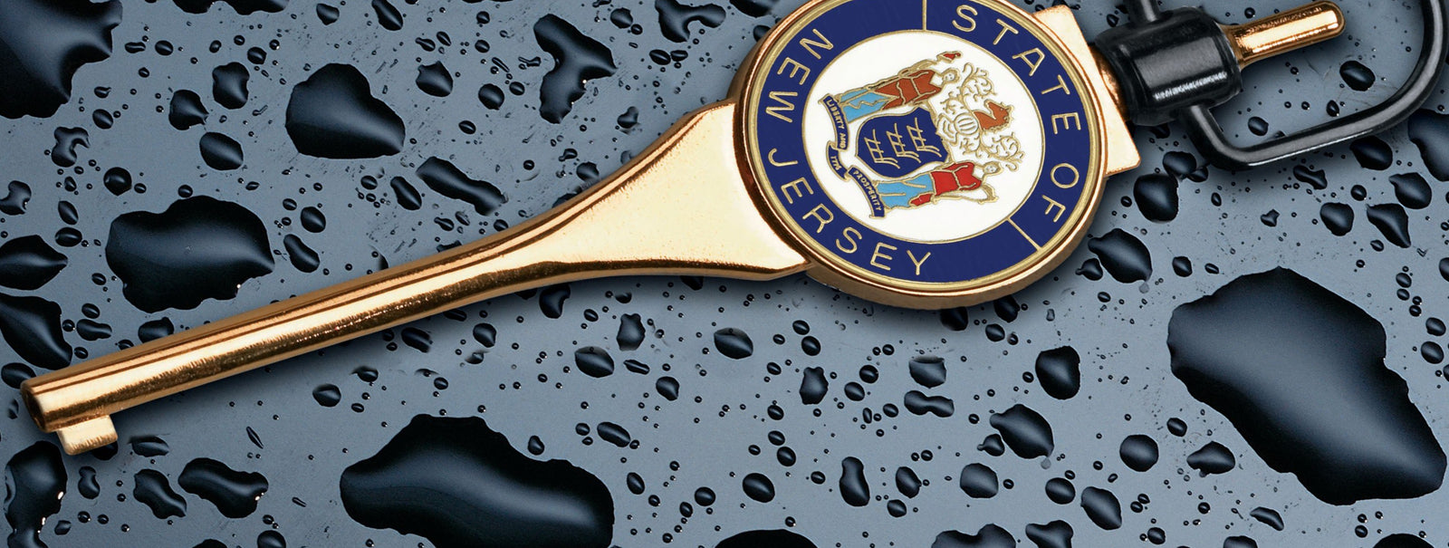 Handschellenschlüssel